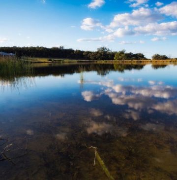 Alure Stanthorpe Dam